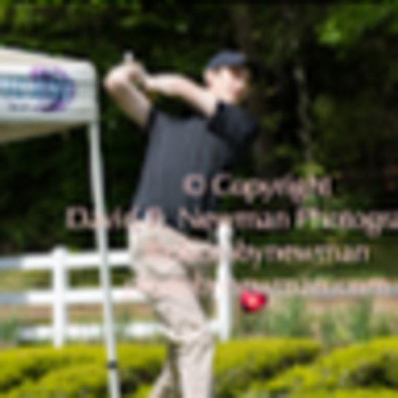 Meet your Posher, Spencer - Picture 1 of 1